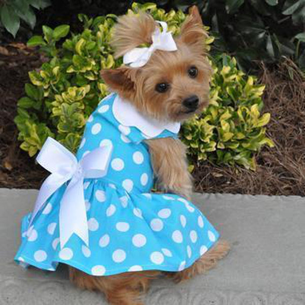 Blue Polka Dot Dog Dress - Matching Leash, Pet Clothes, Furbabeez, [tag]