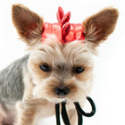 Dragon Dog Hat, Pet Accessories, Furbabeez, [tag]