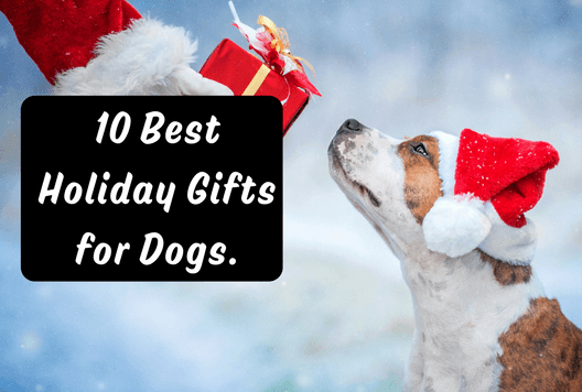 10 Best Holiday Gifts for Dogs.