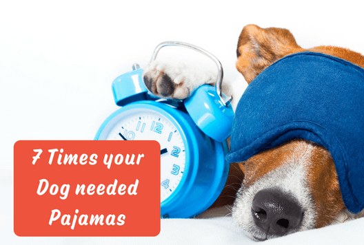 7 Times your Dog needed Pajamas