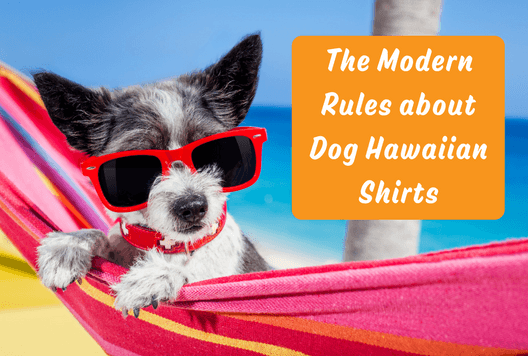 The Modern Rules about Dog Hawaiian Shirts