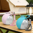 Portable Water Dispenser for Dogs Going Out