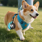 Portable Water Dispenser for Dogs Going Out