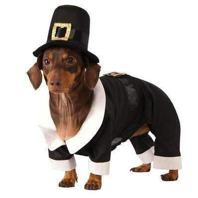 Pilgrim Boy Dog Costume, Pet Clothes, Furbabeez, [tag]
