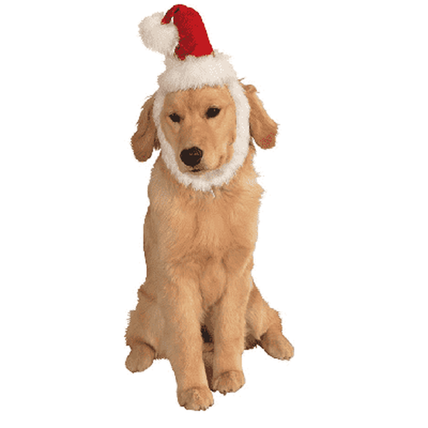 Rubie's Santa Dog Hat, Pet Accessories, Furbabeez, [tag]