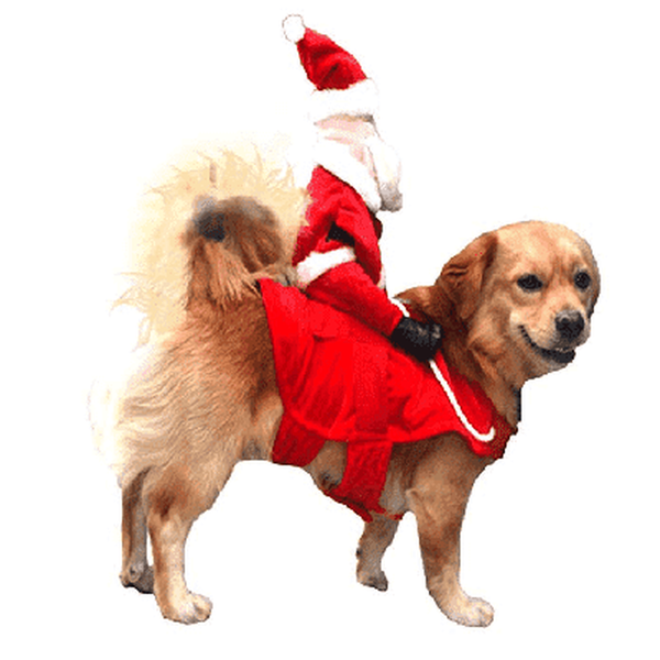 Santa Riding Dog Costume, Pet Clothes, Furbabeez, [tag]