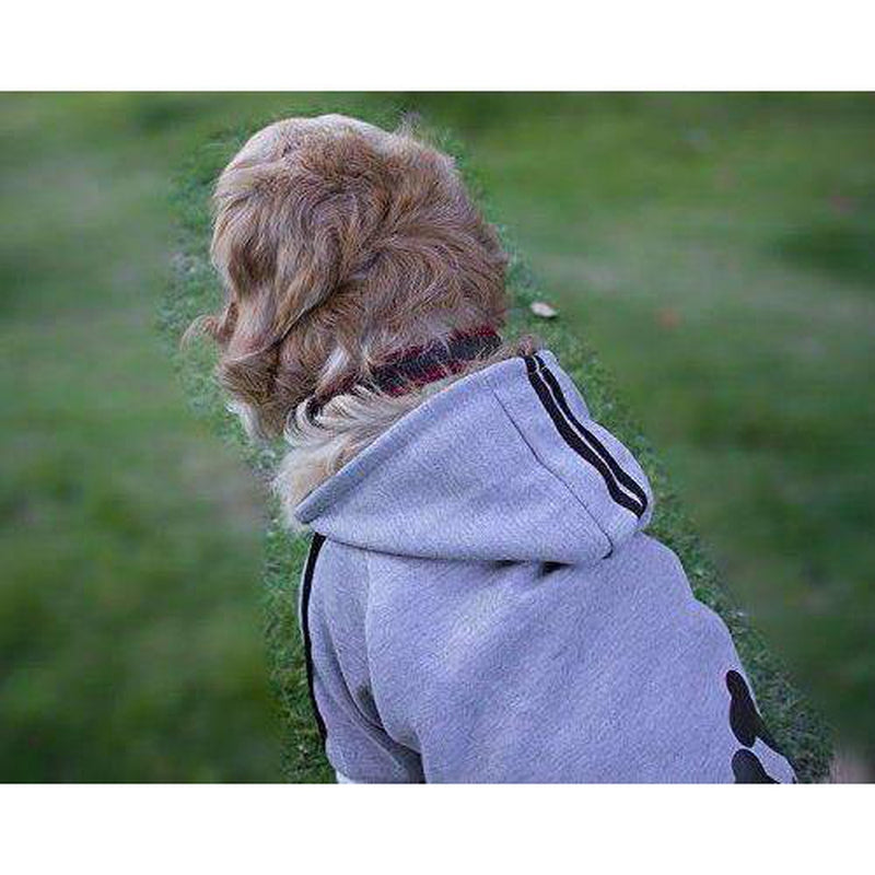 Adidog Dog Sweatsuit, Pet Clothes, Furbabeez, [tag]