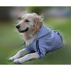 Adidog Dog Sweatsuit, Pet Clothes, Furbabeez, [tag]