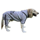 Adidog Dog Sweatsuit, Pet Clothes, Furbabeez, [tag]