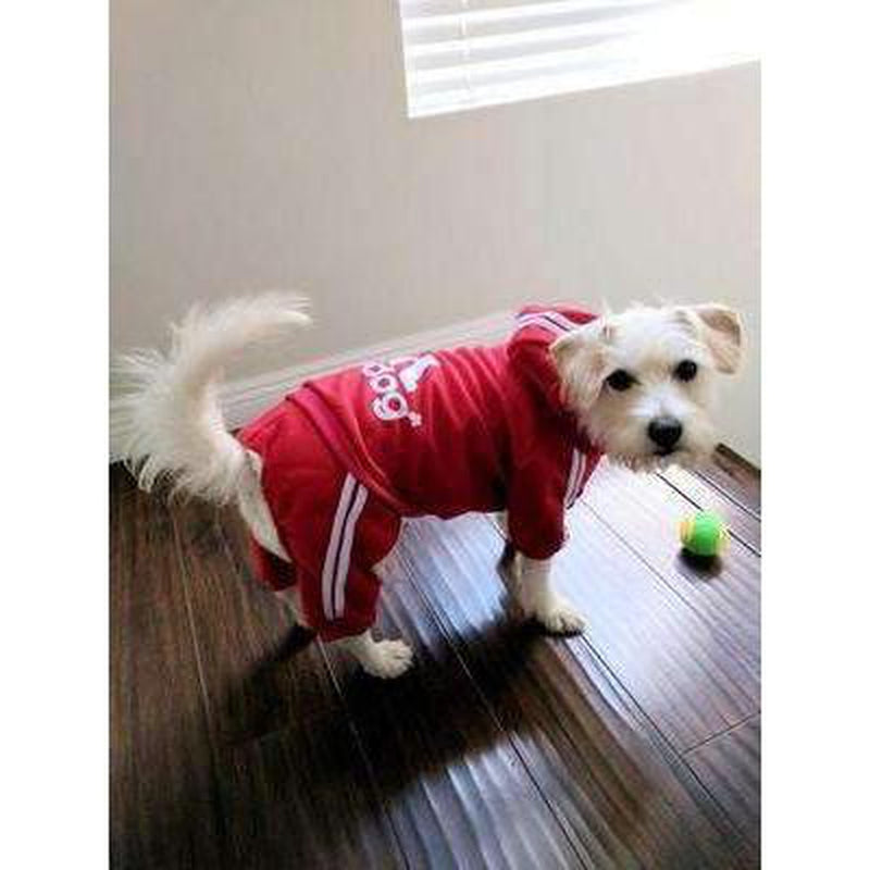 Adidog Dog Sweatsuit, Pet Clothes, Furbabeez, [tag]