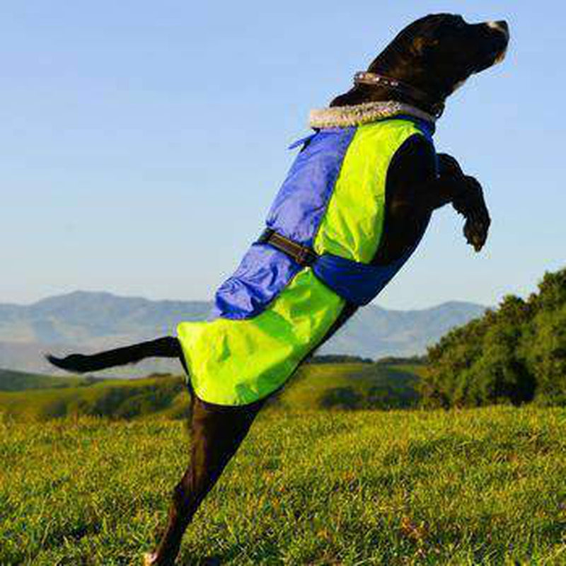 Alpine All-Weather Dog Coat - Blue and Green, Pet Clothes, Furbabeez, [tag]