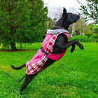 Alpine All Weather Dog Coat - Raspberry Plaid, Pet Clothes, Furbabeez, [tag]