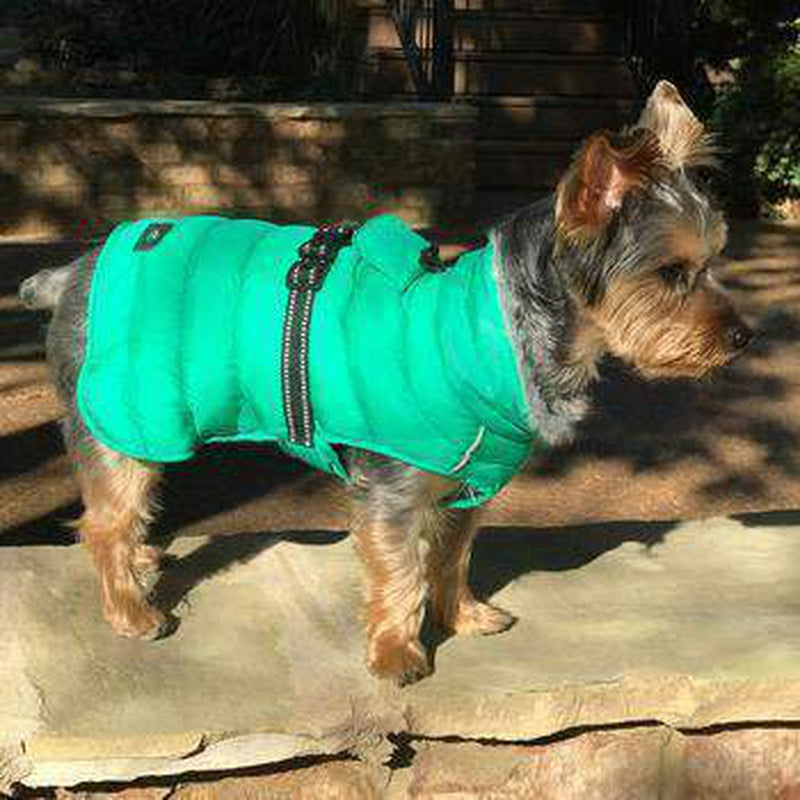 Alpine Extreme Weather Puffer Coat - Arcadia, Pet Clothes, Furbabeez, [tag]