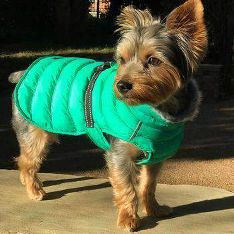 Alpine Extreme Weather Puffer Coat - Arcadia, Pet Clothes, Furbabeez, [tag]