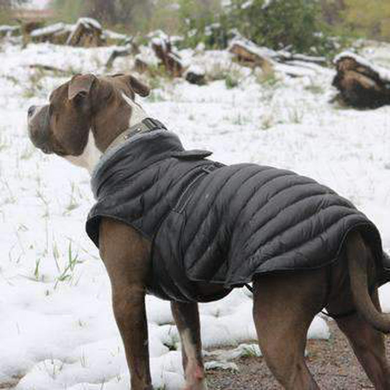 Alpine Extreme Weather Puffer Dog Coat - Black, Pet Clothes, Furbabeez, [tag]