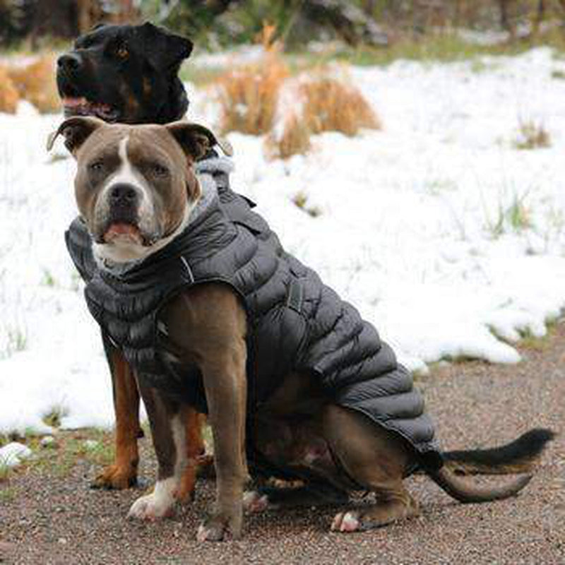 Alpine Extreme Weather Puffer Dog Coat - Black, Pet Clothes, Furbabeez, [tag]