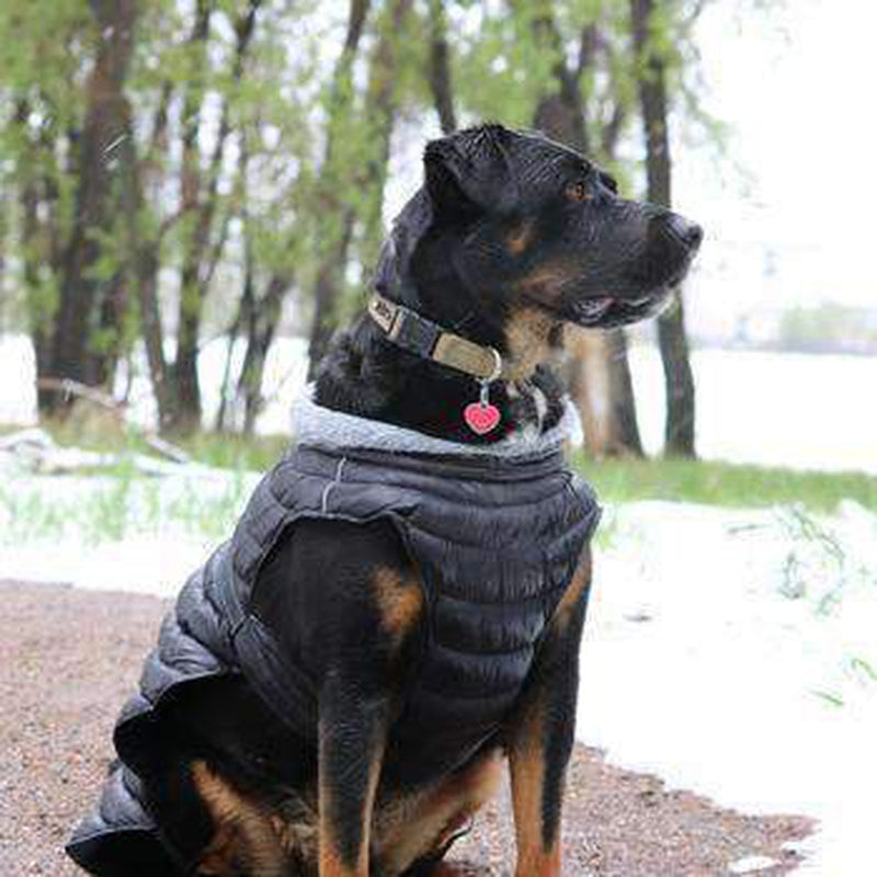 Alpine Extreme Weather Puffer Dog Coat - Black, Pet Clothes, Furbabeez, [tag]