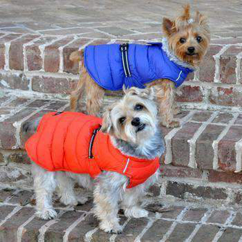 Alpine Extreme Weather Puffer Dog Coat - Navy Blue, Pet Clothes, Furbabeez, [tag]