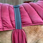 Alpine Extreme Weather Puffer Dog Coat - Burgundy Pet Clothes Doggie Design 