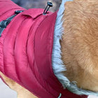 Alpine Extreme Weather Puffer Dog Coat - Burgundy Pet Clothes Doggie Design 