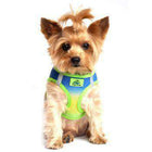 American River Choke-Free Dog Harness - Cobalt Sport Ombre, Collars and Leads, Furbabeez, [tag]