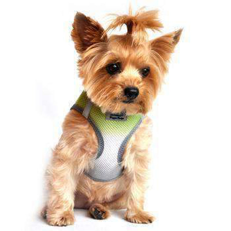 American River Choke-Free Dog Harness - Limestone Gray Ombre, Collars and Leads, Furbabeez, [tag]