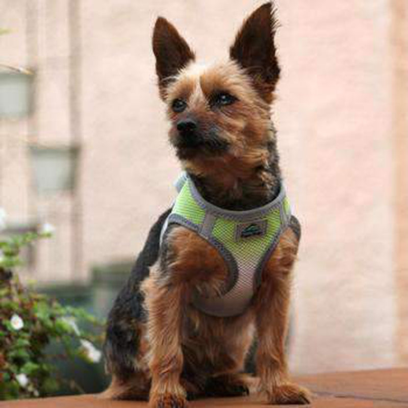American River Choke-Free Dog Harness - Limestone Gray Ombre, Collars and Leads, Furbabeez, [tag]
