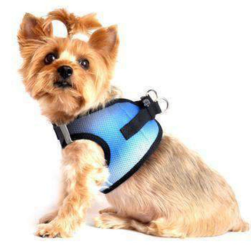 American River Choke-Free Dog Harness Midnight Sky Ombre – Furbabeez