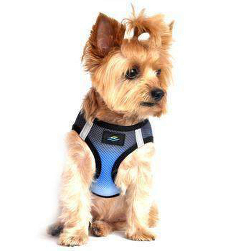 American River Choke-Free Dog Harness - Midnight Sky Ombre, Collars and Leads, Furbabeez, [tag]