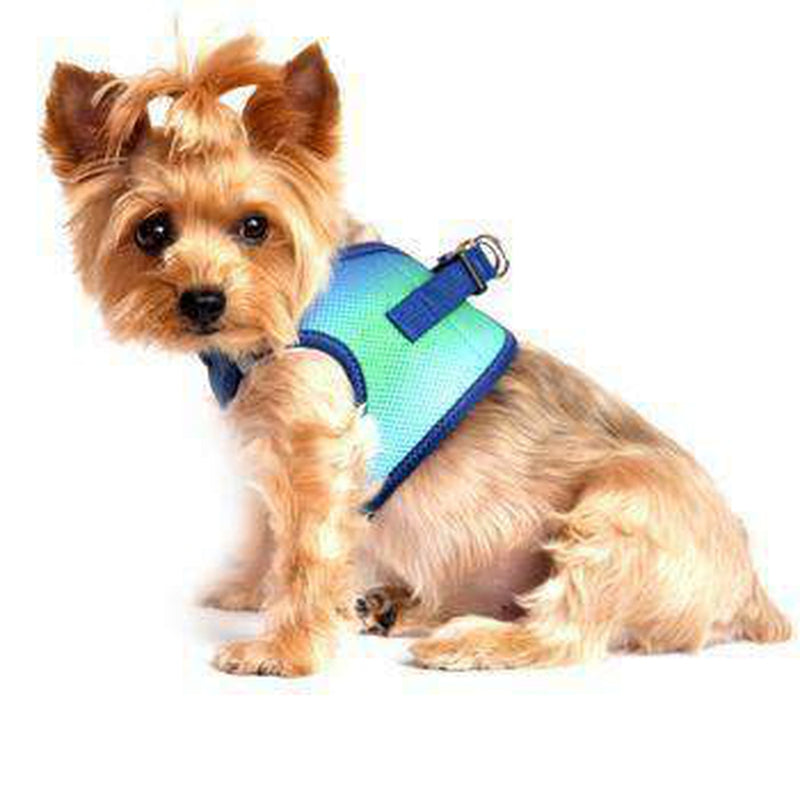 American River Choke-Free Dog Harness - Northern Lights Ombre, Collars and Leads, Furbabeez, [tag]