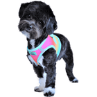 American River Choke Free Dog Harness Ombre Collection - Beach Party Collars and Leads Doggie Design 