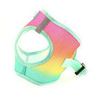 American River Choke Free Dog Harness Ombre Collection - Beach Party Collars and Leads Doggie Design 