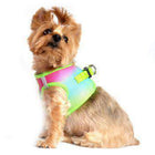 American River Choke-Free Dog Harness - Rainbow Ombre, Collars and Leads, Furbabeez, [tag]