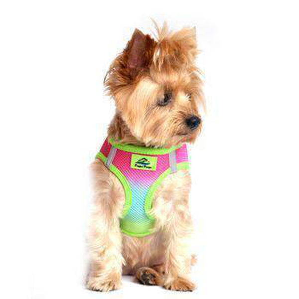 American River Choke-Free Dog Harness - Rainbow Ombre, Collars and Leads, Furbabeez, [tag]