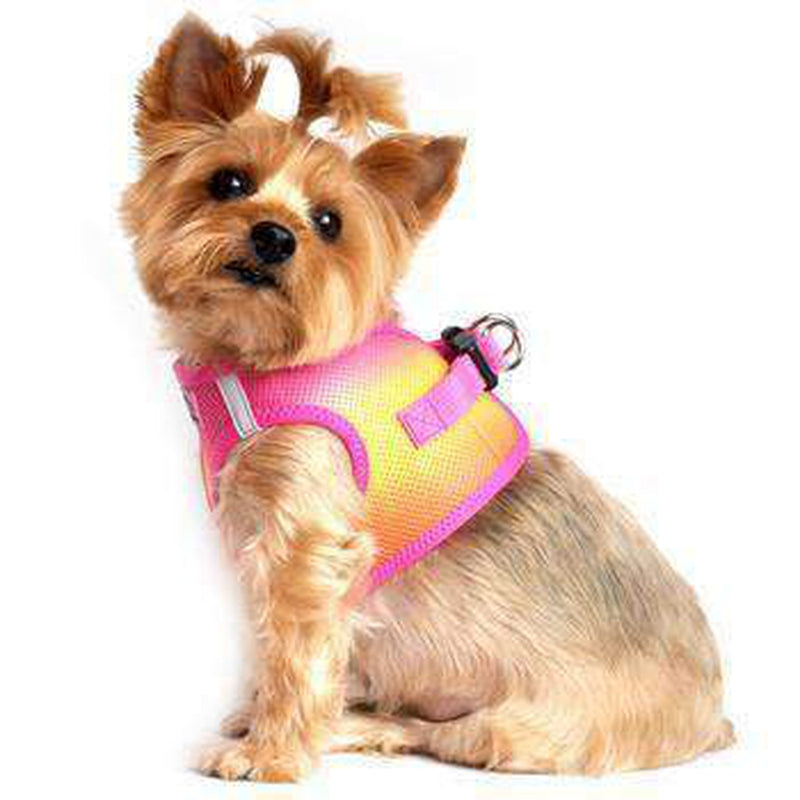 American River Choke-Free Dog Harness - Raspberry and Orange Sorbet Ombre, Collars and Leads, Furbabeez, [tag]