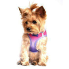 American River Choke-Free Dog Harness - Raspberry Sundae Ombre, Collars and Leads, Furbabeez, [tag]