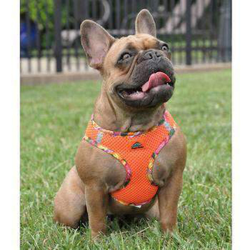 American River Hawaiian Trim Choke-Free Dog Harness - Sunset Orange, Collars and Leads, Furbabeez, [tag]