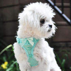 American River Choke-Free Dog Harness - Teal Polka Dot, Collars and Leads, Furbabeez, [tag]