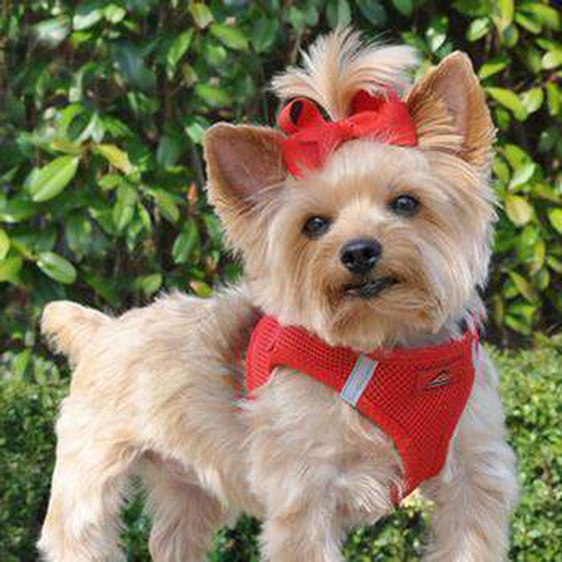 American River Ultra Choke-Free Mesh Dog Harness by Doggie Design - Red, Collars and Leads, Furbabeez, [tag]