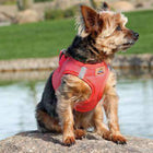American River Ultra Choke-Free Mesh Dog Harness - Coral, Collars and Leads, Furbabeez, [tag]