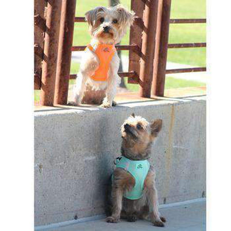 American River Ultra Choke-Free Mesh Dog Harness - Teal, Collars and Leads, Furbabeez, [tag]