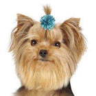 Aria Dot Rose Dog Bows, Pet Accessories, Furbabeez, [tag]