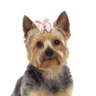 Aria Molly Dog Bows, Pet Accessories, Furbabeez, [tag]
