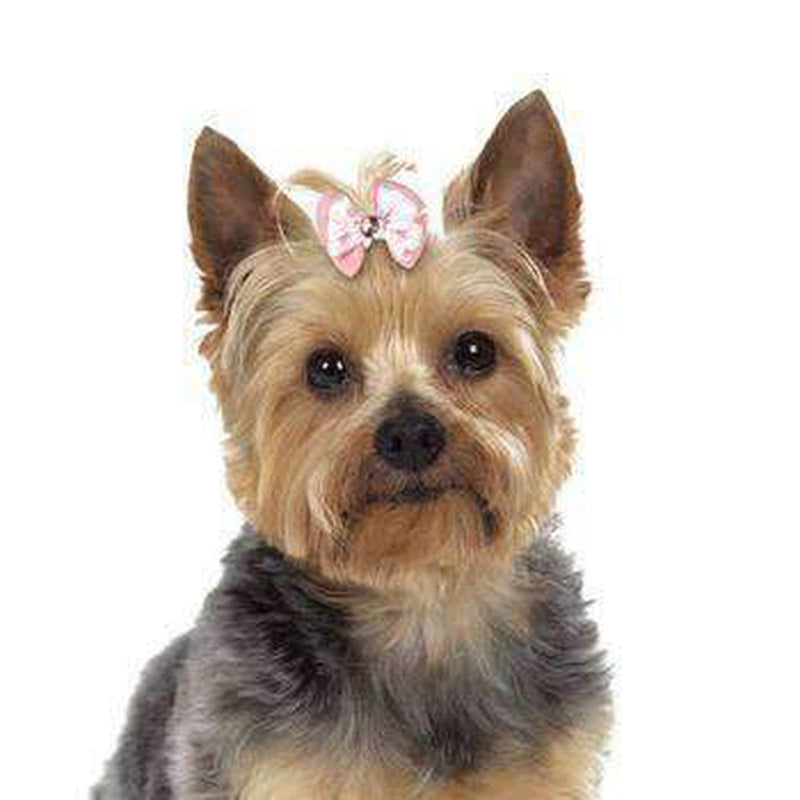 Aria Molly Dog Bows, Pet Accessories, Furbabeez, [tag]