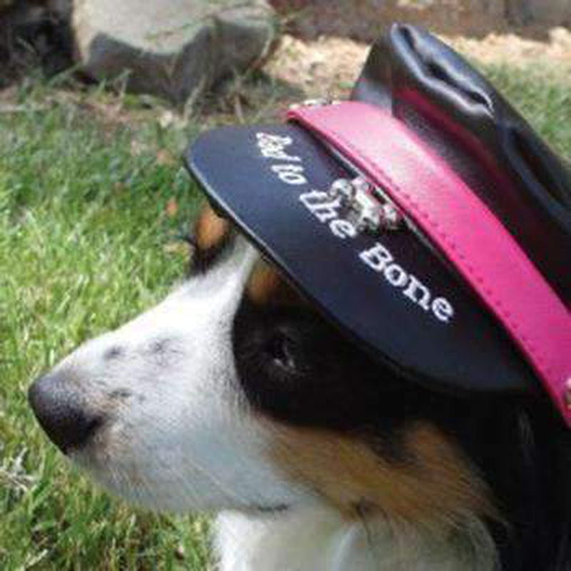 Bad to the Bone Biker Dog Hat - Black with Magenta Trim, Pet Accessories, Furbabeez, [tag]