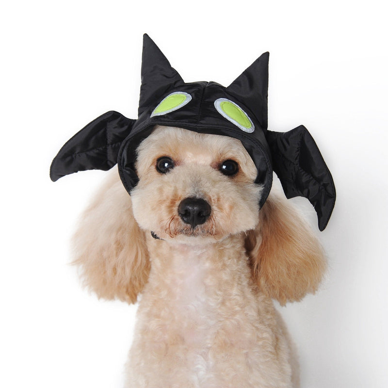 Bat Dog Hat, Pet Accessories, Furbabeez, [tag]