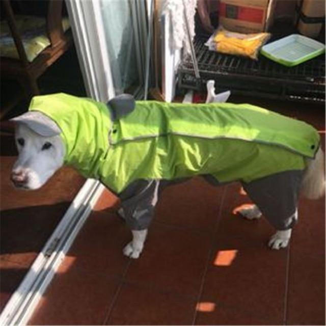 Big Dog Raincoat Pet Clothes Oberlo Lime 12 