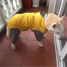 Big Dog Raincoat Pet Clothes Oberlo Yellow 12 