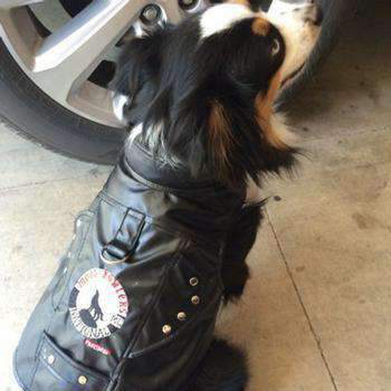 Dog hotsell biker vest