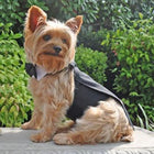 Black Dog Harness Tuxedo w/Tails, Bow Tie, and Cotton Collar Pet Clothes Oberlo US 